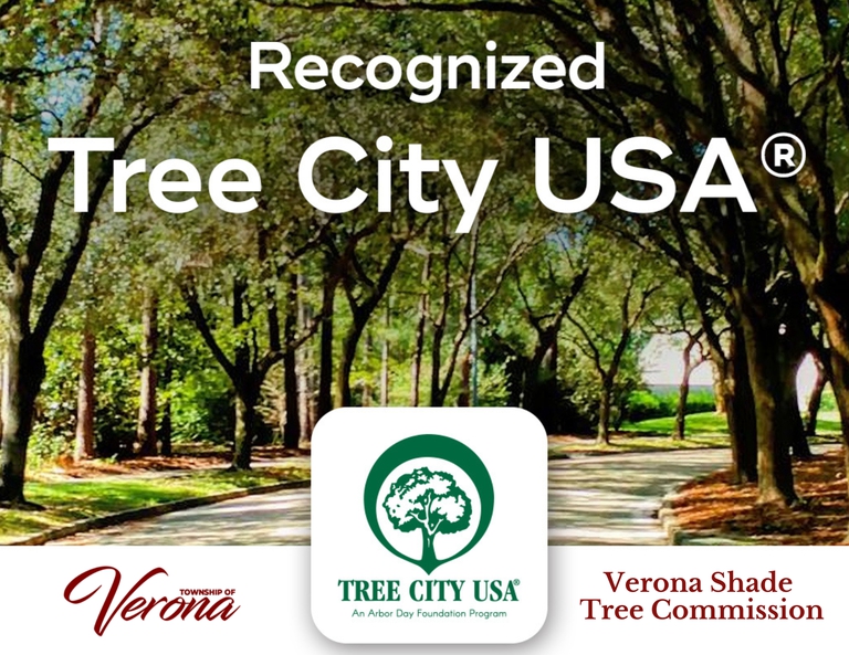 Read why Verona was selected a Tree City here